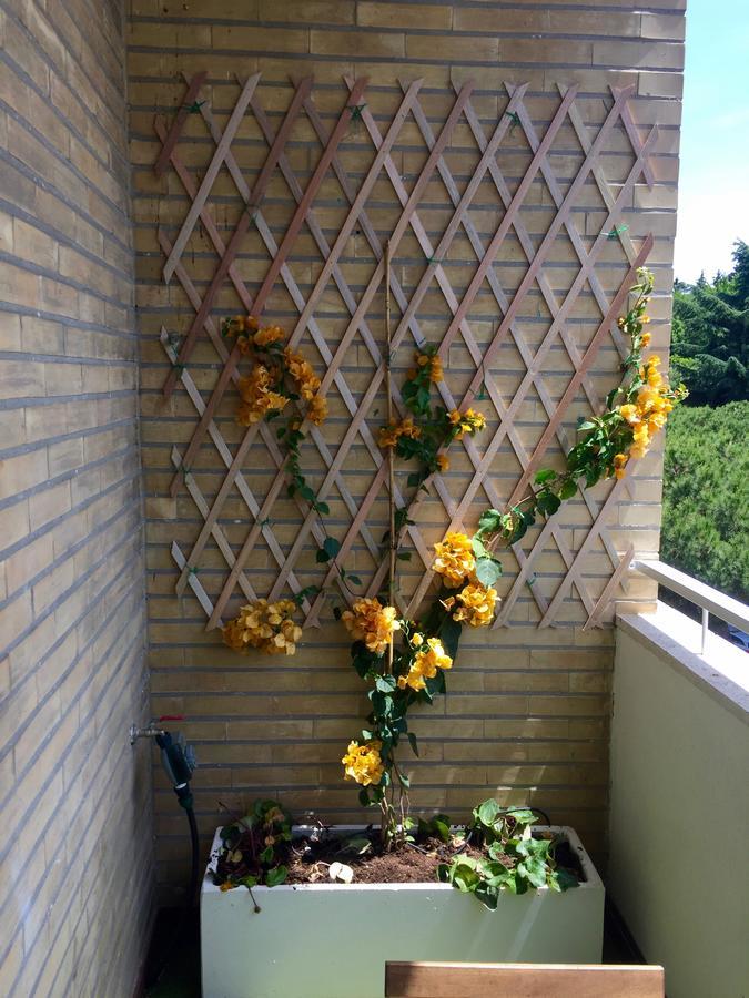 Happy Holiday In Rome B&B Exterior photo